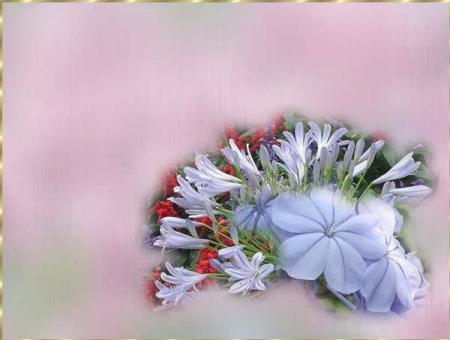 La sagesse est de voir